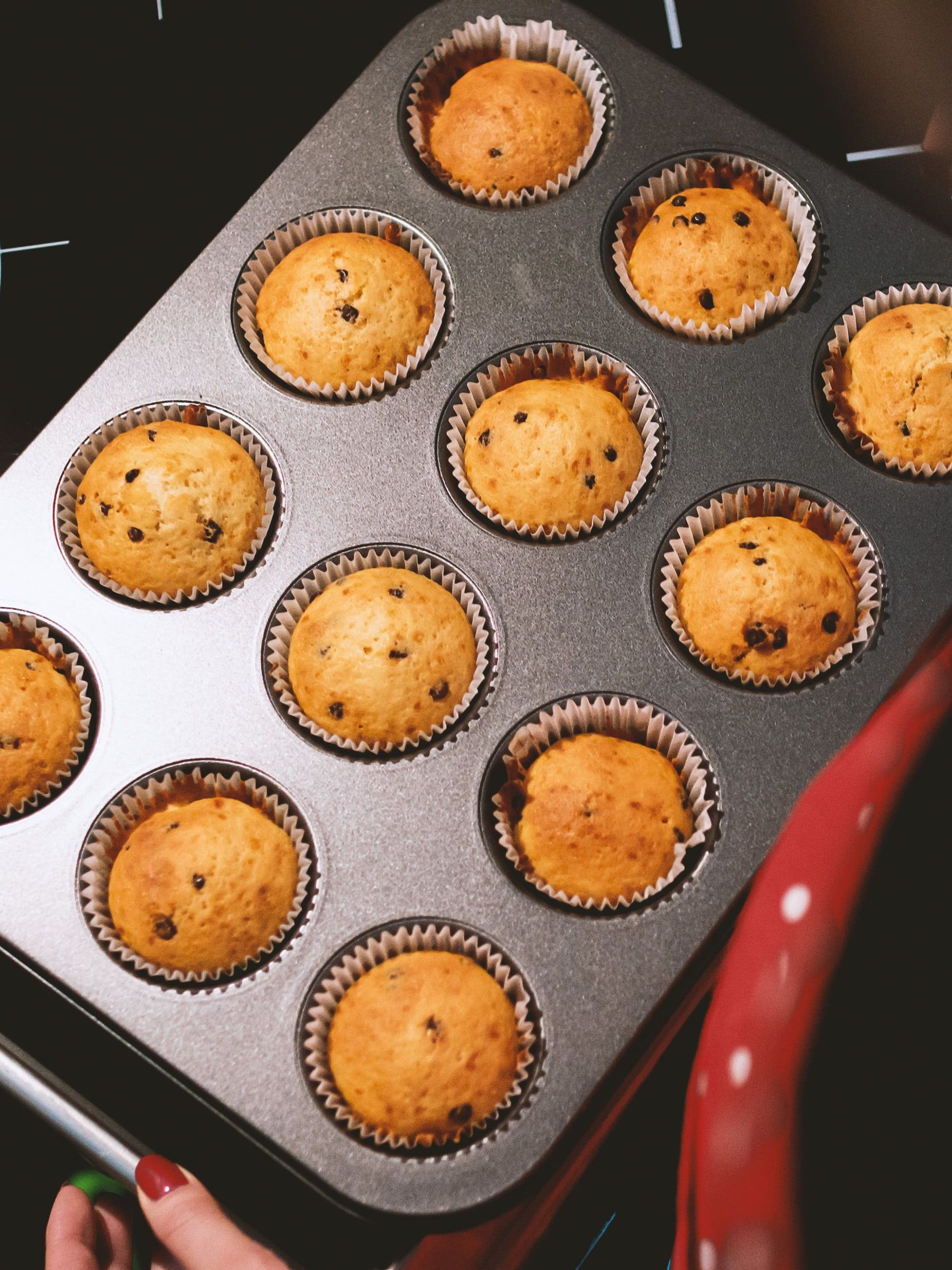 Khay bánh muffin sô-cô-la chip vừa ra lò.